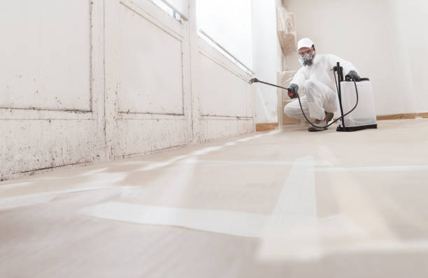 24/7 Emergency Commercial Mold Remediation experts in Burke, VA